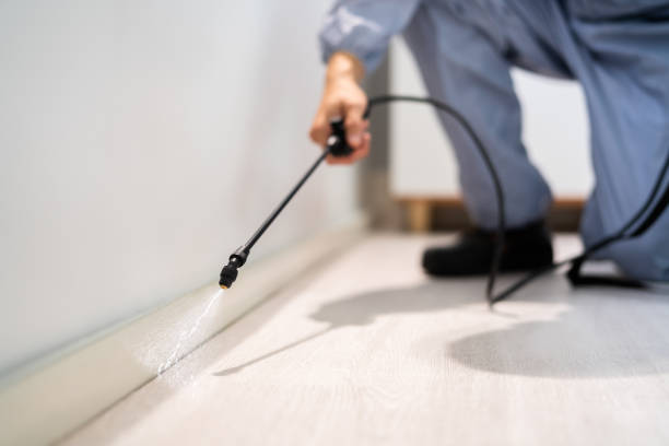 Rodent Entry Point Assessment in Fair Lawn