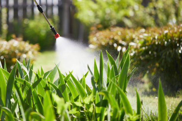 Tamper-Resistant Bait Stations for Rodents in Fair Lawn