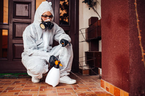 Attic and Crawl Space Rodent Treatment in Fair Lawn
