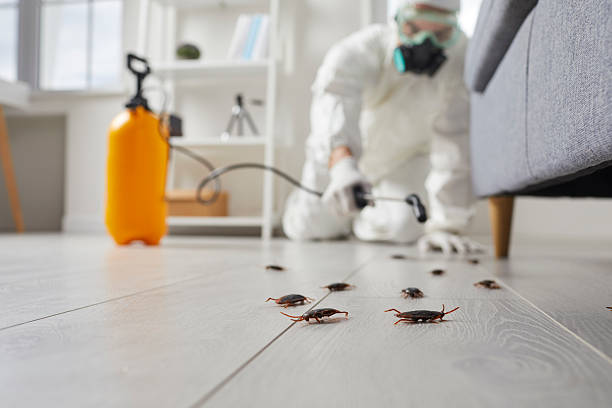 Commercial Rodent Management in Fair Lawn